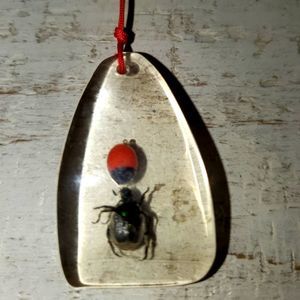 3/$18 Real Beetle and Lady Bug Necklace